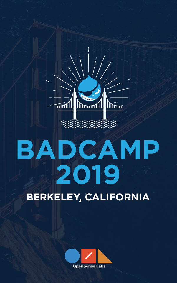 BADCamp 2019 poster