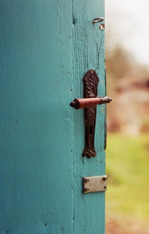 An open door with the nature in the background