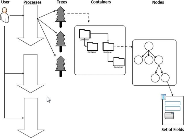 Image of a flow chart stating user, processes, trees, containers, and nodes