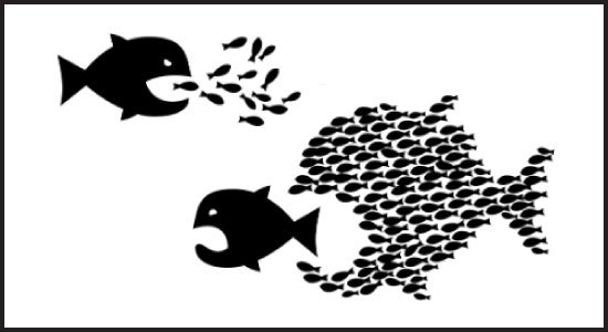 a big fish after a group of small fishes and a group f small fishes in the shape of a fish after the big fish