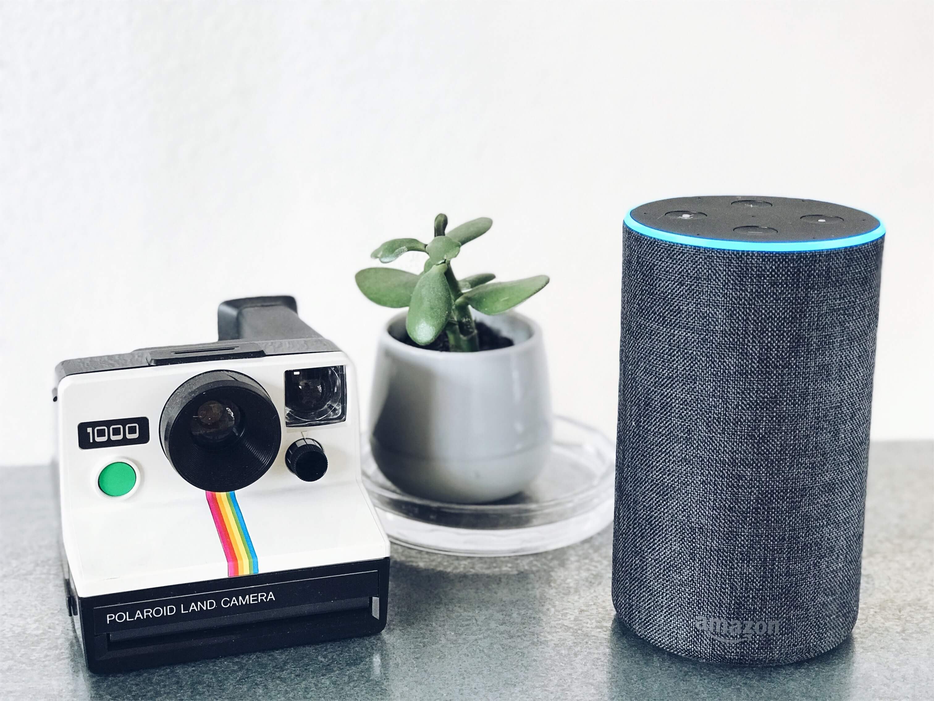 Amazon Echo powered by Alexa, a plant pot, and a polaroid land camera placed close to each other