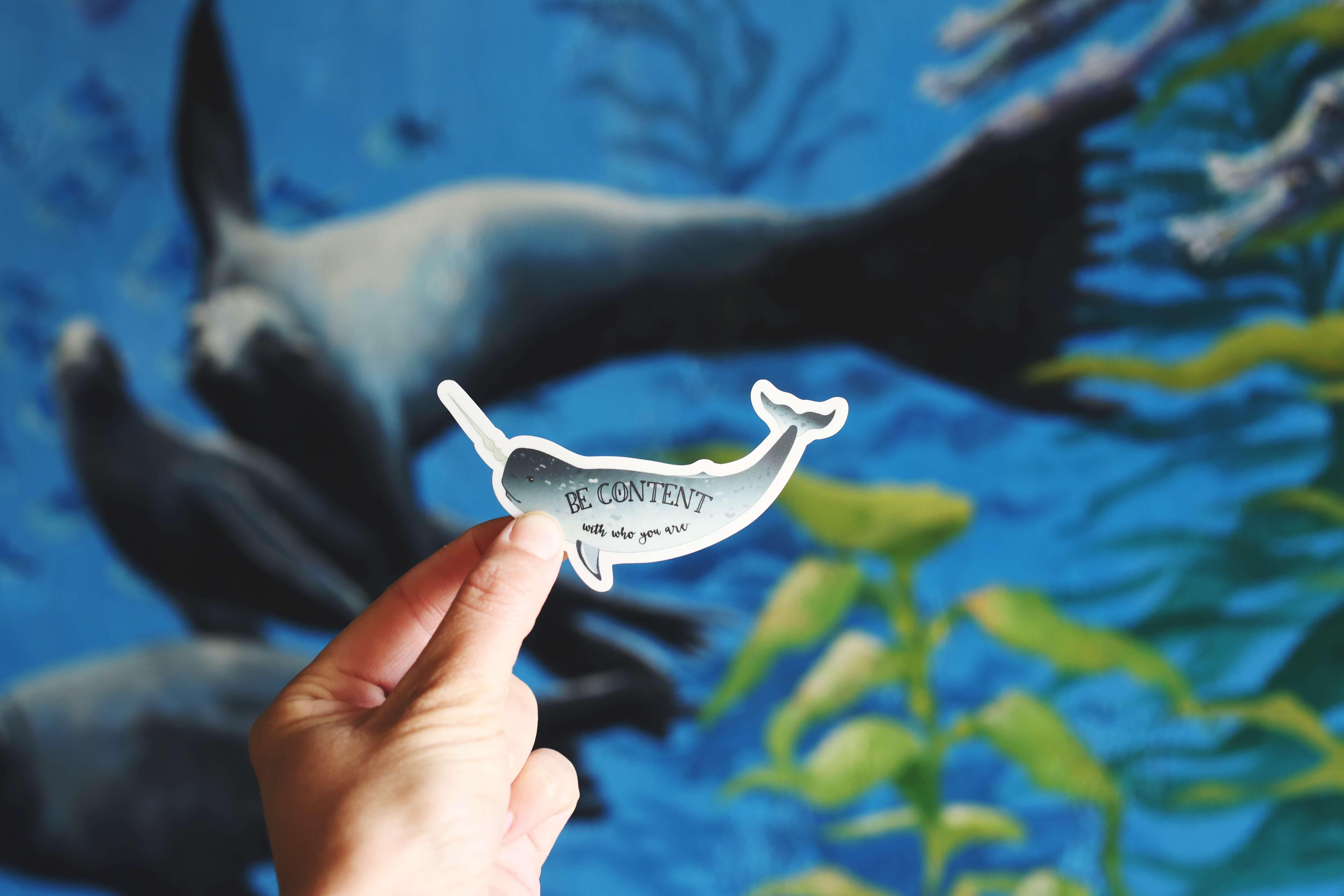 A hand holding a sticker resembling a fish with Be Content written on it and real fishes in the background