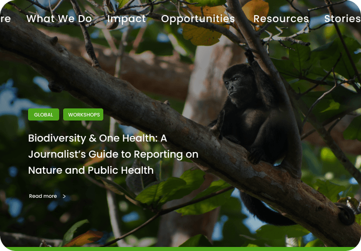 Earth Journalism Network: 60% Faster Publishing After Migrating to Drupal 8