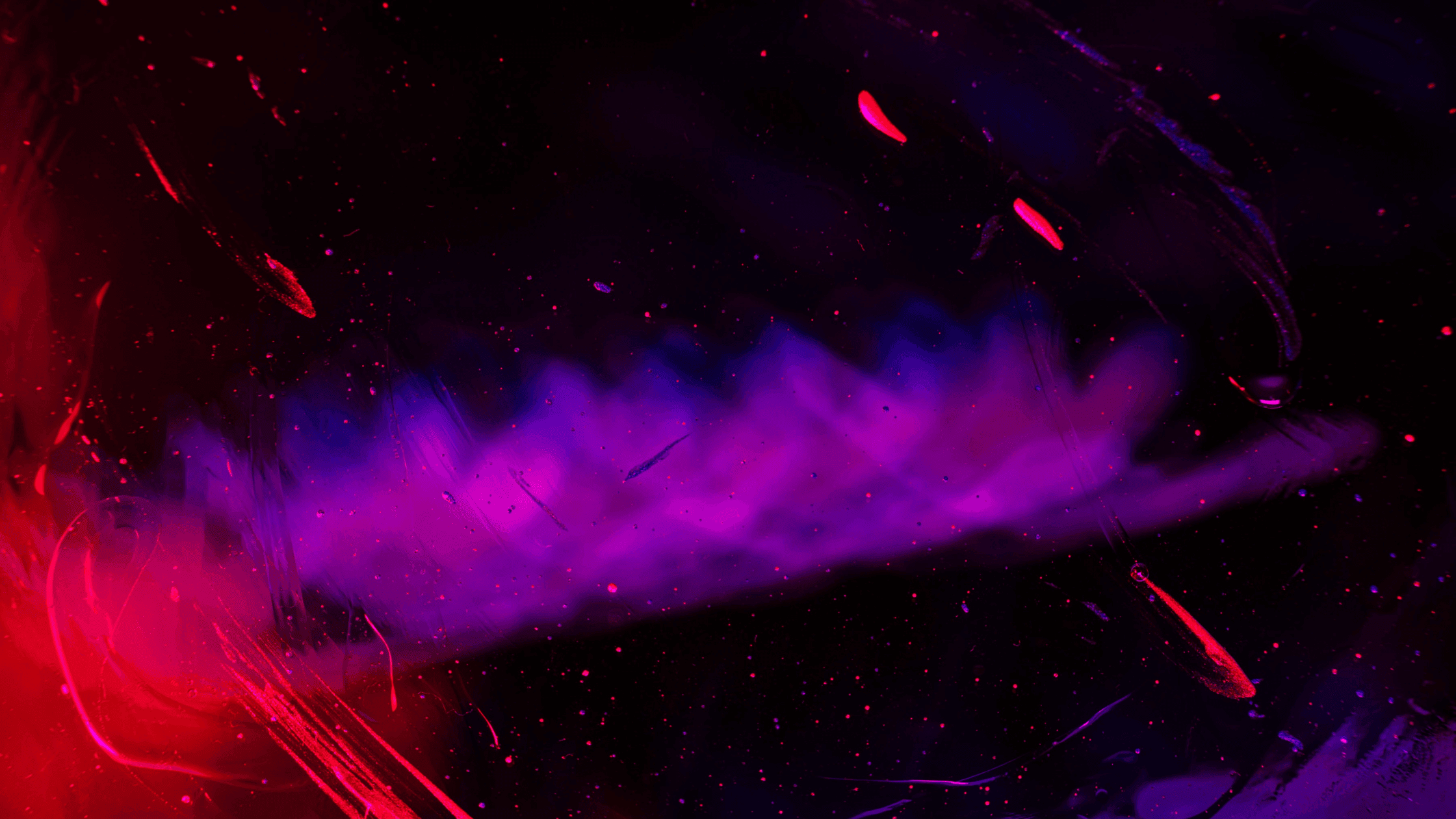 Blog%20banner%20image.png