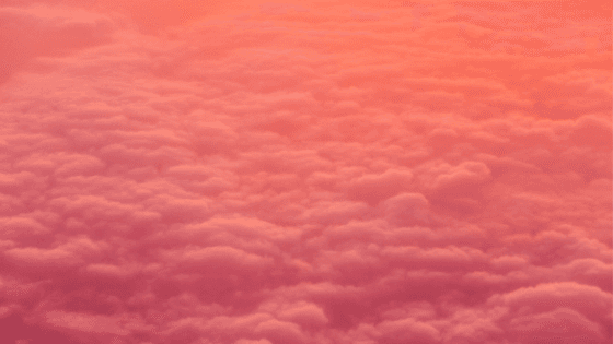 Untitled%20design%20%2817%29.png