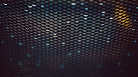 Untitled%20design%20%2842%29.jpg
