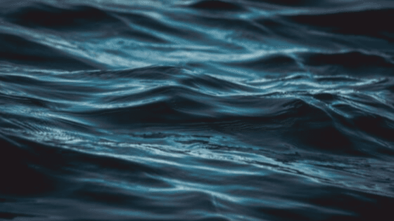 blog%20banner%20wd%20%281%29.png