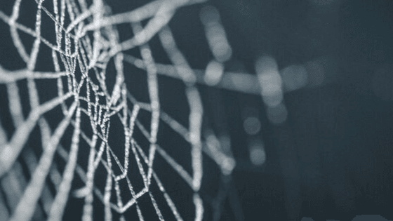 blog%20banner%20h.png