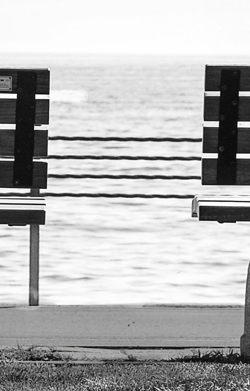 two benches near a beach