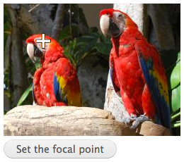 Focal Point test image with two red parrots