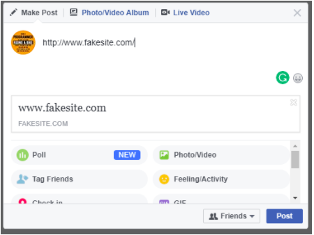 Preview of fakesite.com on Facebook with no thumbnail