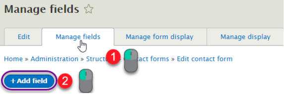 adding custom field in the "manage field"