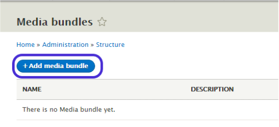 Add media bundle option; installing media entity image module