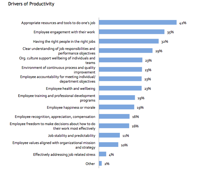 Graphical presentation of Drivers of Productivity