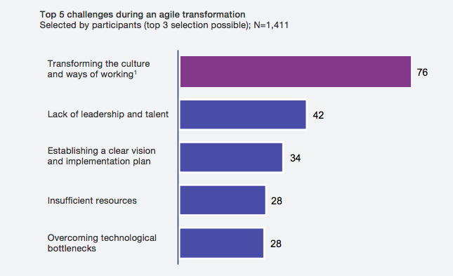 Graphical representation of challenges during agile transformation