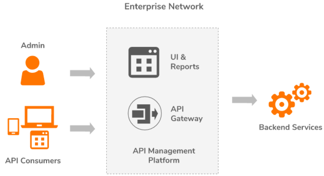 basic standard model deployment for traditional on-premise api management platform in orange and grey color