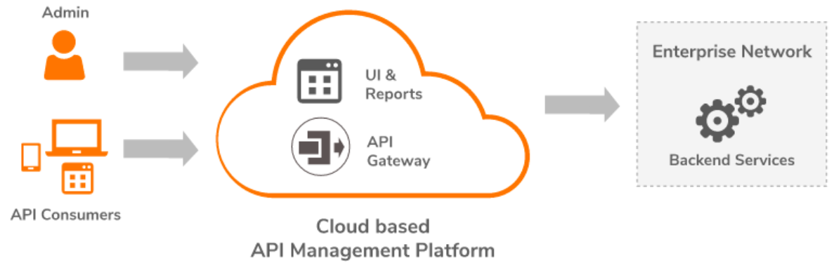 illustration of traditional on cloud api management platform in orange and grey color