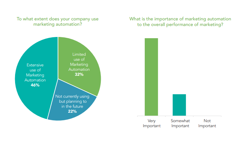 The image is a combination of a pie chart and a bar graphs showing figures about the perception of marketing automation of businesses.