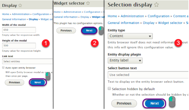 adding entity type in the selction display through widget selector and display