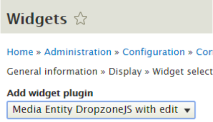 selecting the widget plugin as media entity dropzone js with edit