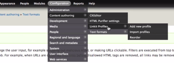 Drupal settings; accessing linkit profiles through configuration 