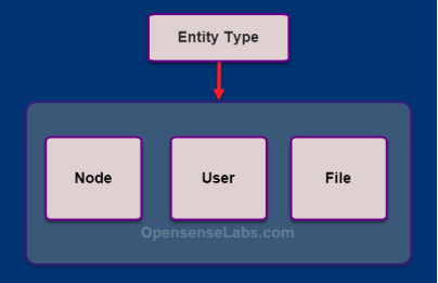 different types of entity types in Drupal