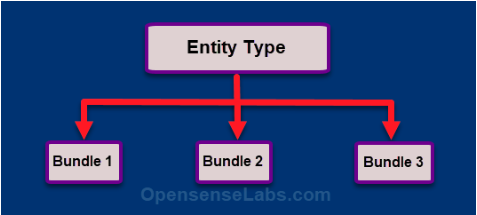 entity type in Drupal 8 