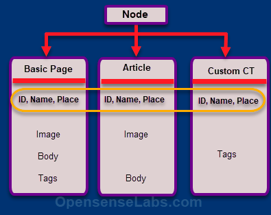 node type in Drupal 8