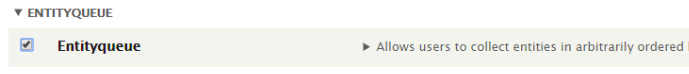 configuring the entityqueue module 