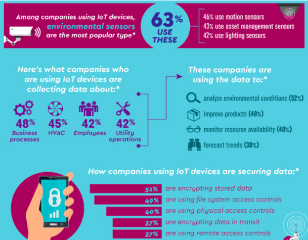 Infographic showing statistics on the usage of internet of smart environment