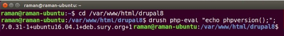 command line for raman@raman ubuntu