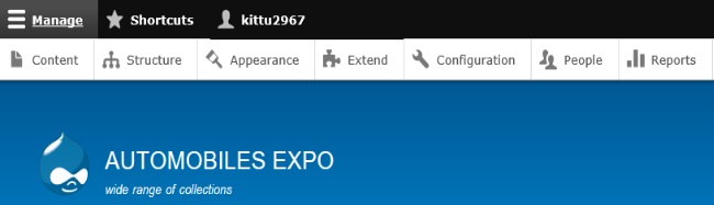 admin interface with admin toolbar and auto mobile expo in the heading structure