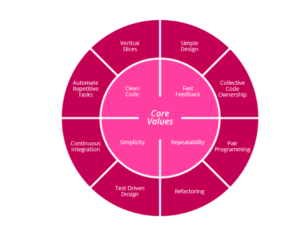 a pink circle divided into many parts
