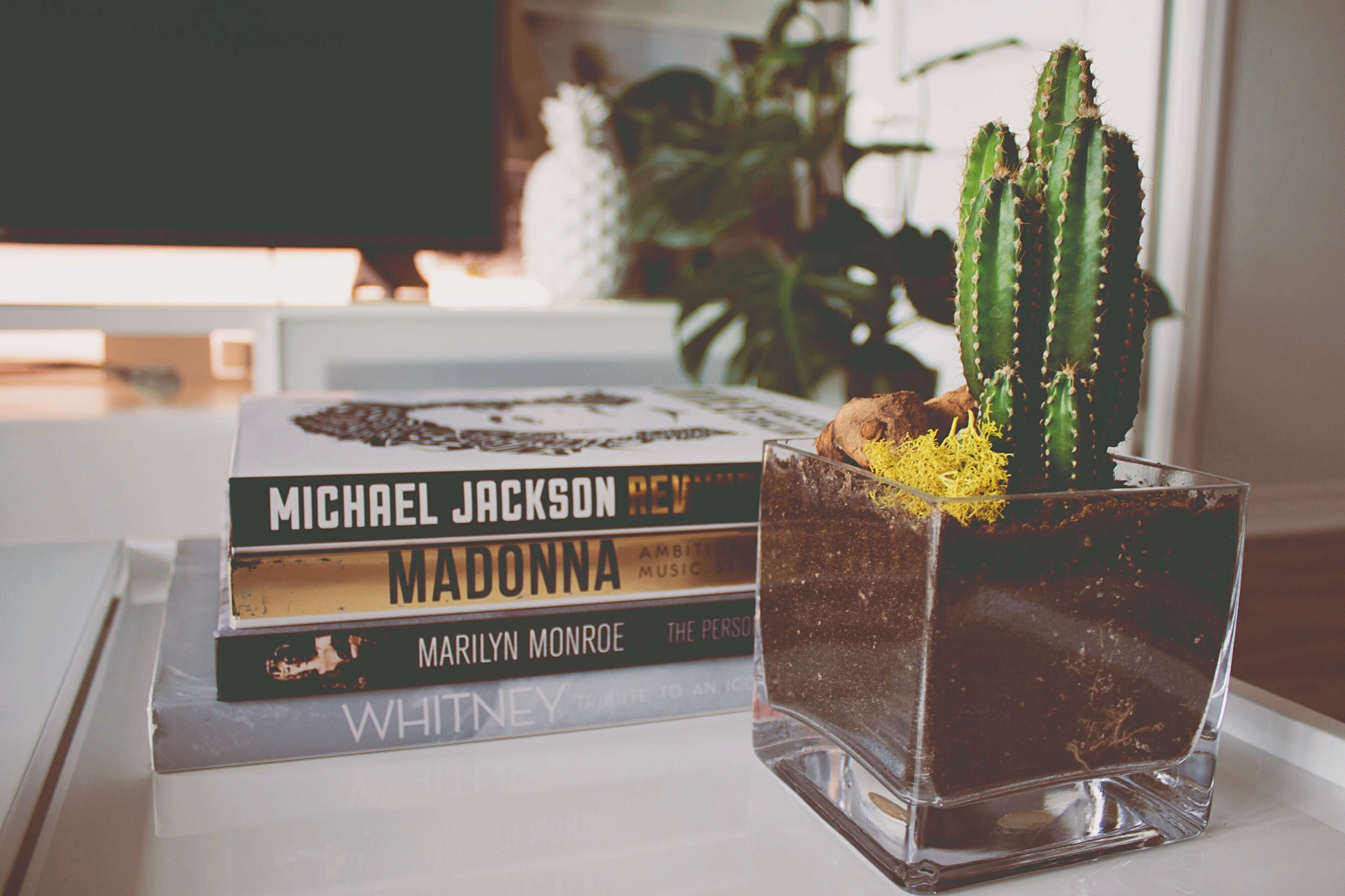 Side view of three books piled up one above another and a cactus plant beside that