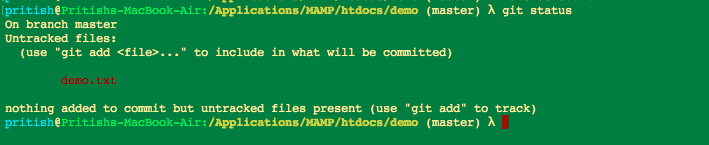 git demo txt