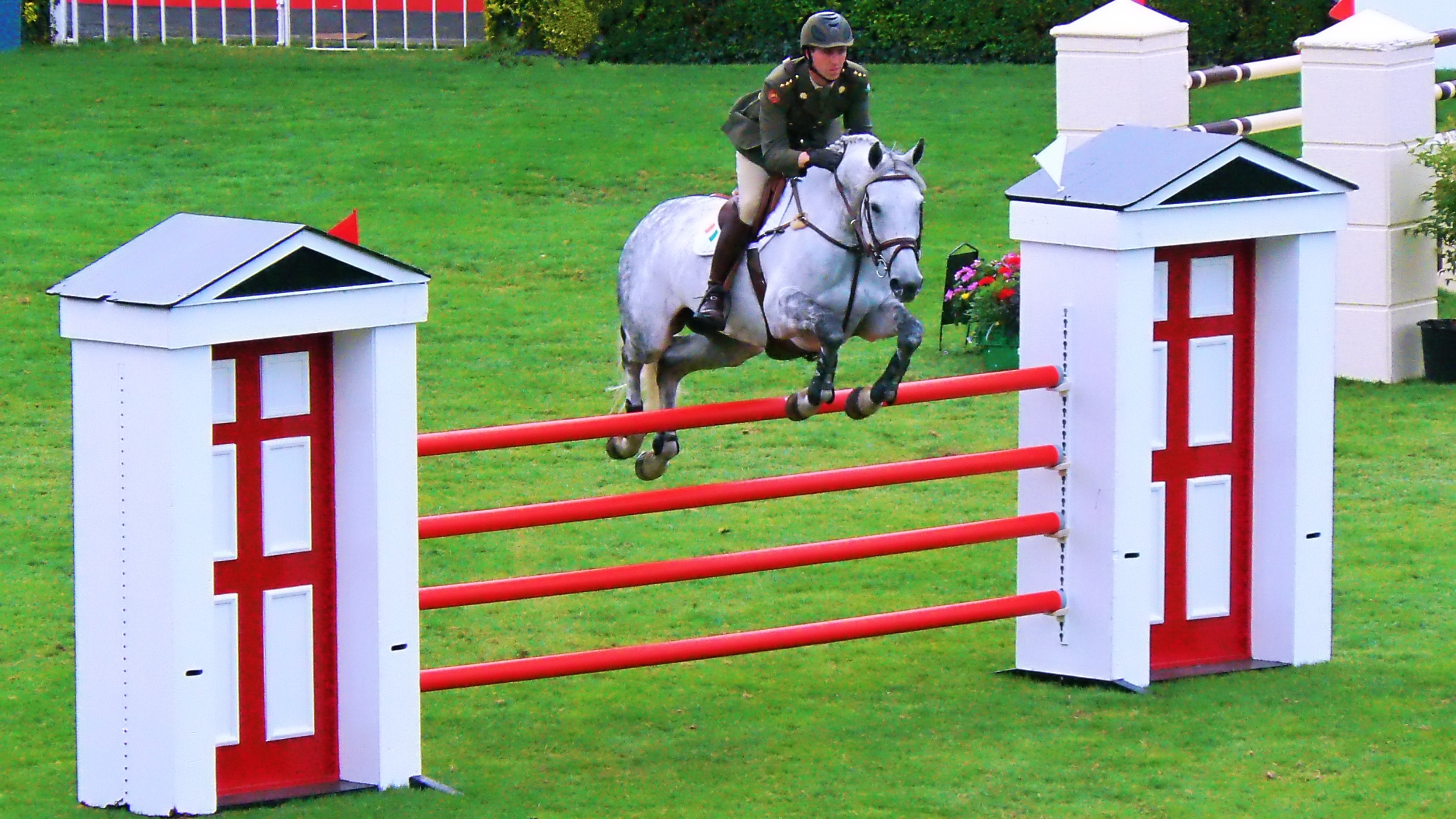 illustration image showing a rider on a white horse crossing a hurdle wearing brown and grey colors clothes on a green ground