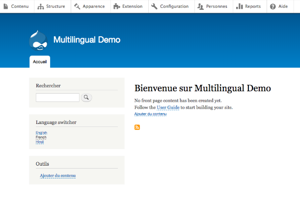 admin interface of multilingual demo in frnech