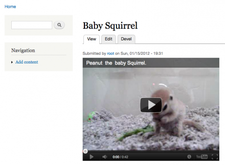 Image of a baby squirrel video with options to edit, view, and cancel. 