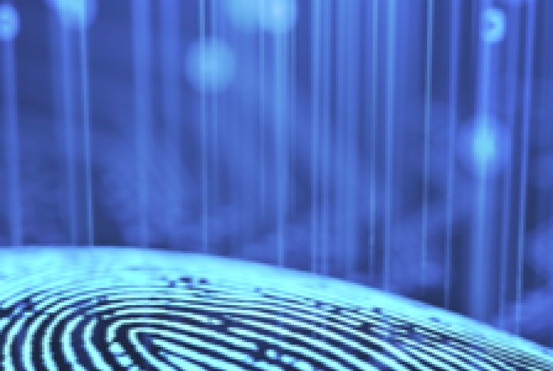 illuminating fingerprint 