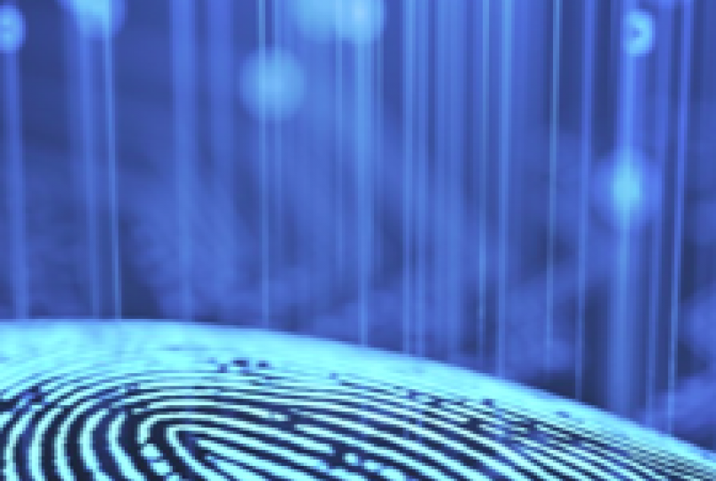 illuminating fingerprint