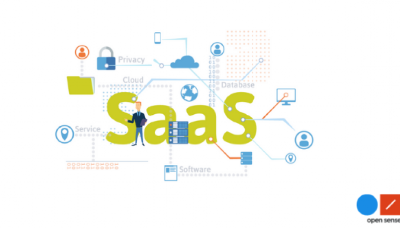 Saas written in big green letters with clouds and privacy in the background