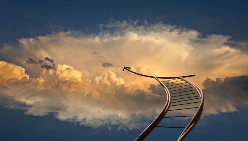 A metal ladder is seen going into clouds in the sky.