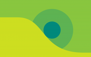 blog banner with green and yellow background