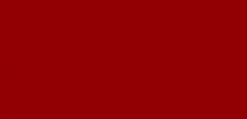 palin maroon blog banner
