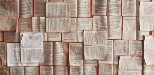 Several open books can be seen together.