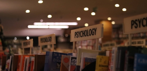 An image displaying books kept in a library