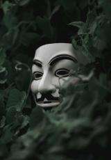 blog image with an anonymous mask peaking out of bush