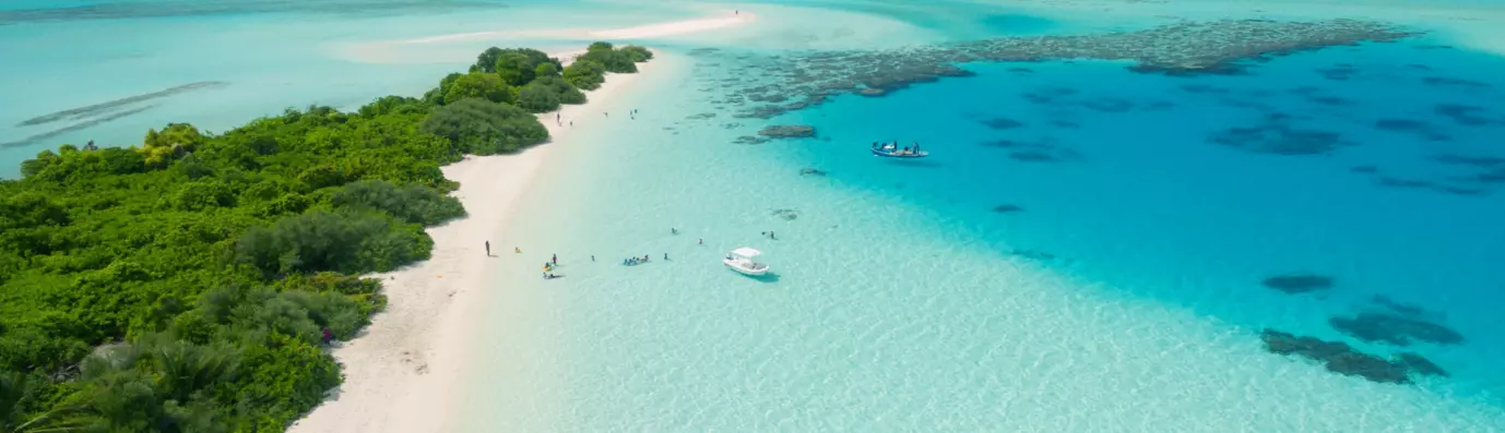 beach of fort myers