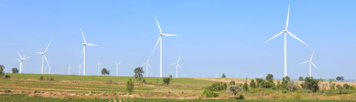 Carbon Check OpenSense Labs