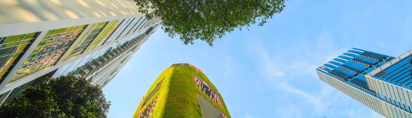 CGS Center for Global Sustainability Interactive Platform for Climate Pathways Platform OpenSense Labs